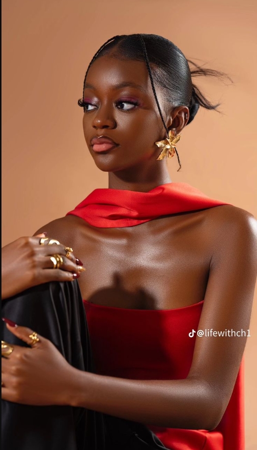 screenshot 4 1 2026 221517 i.pinimg.com